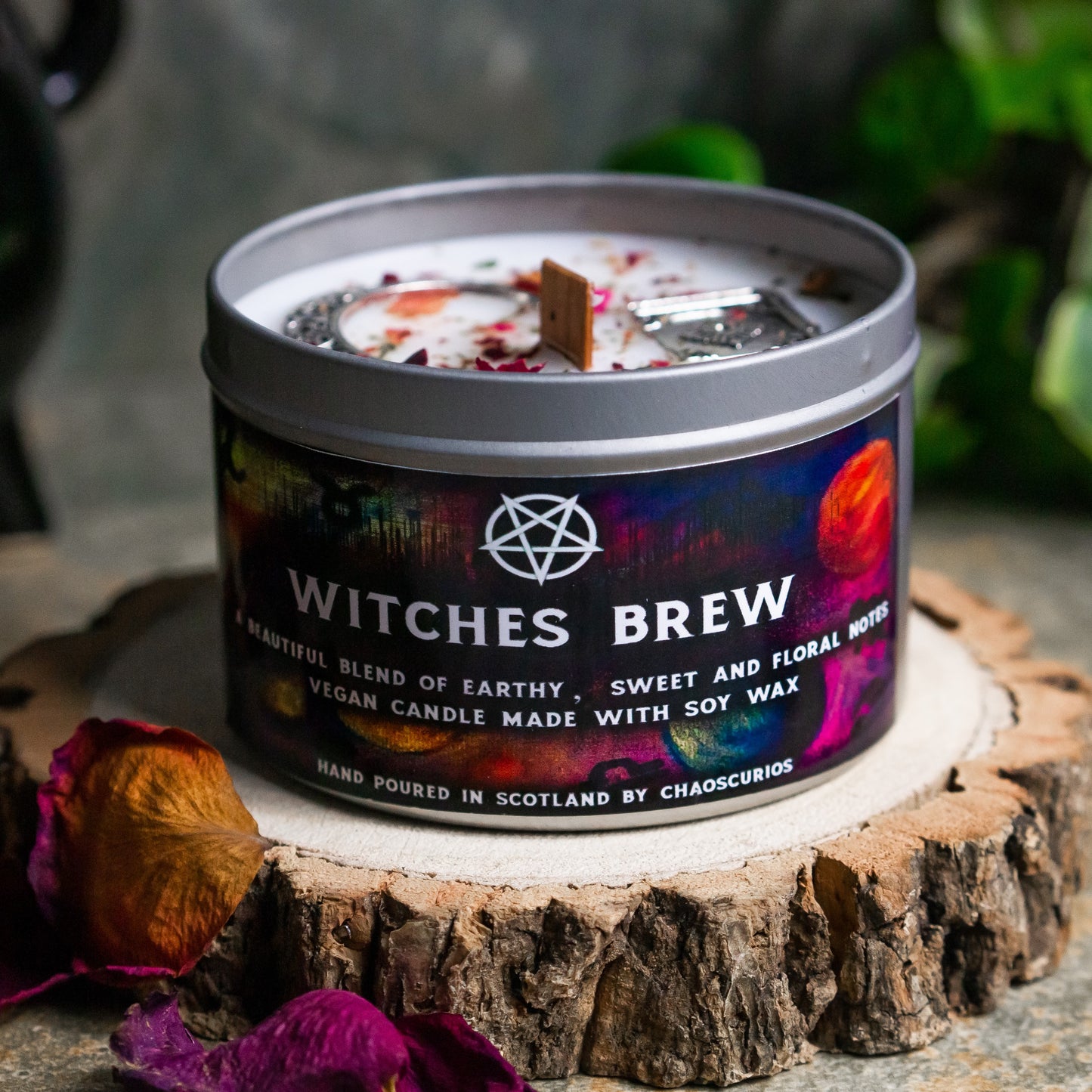 Witches Brew, Vegan Soy Candle, Witchy Aesthetic, Witchy Vibes, Pentacle Candle, Moon Candle, Book of Spells