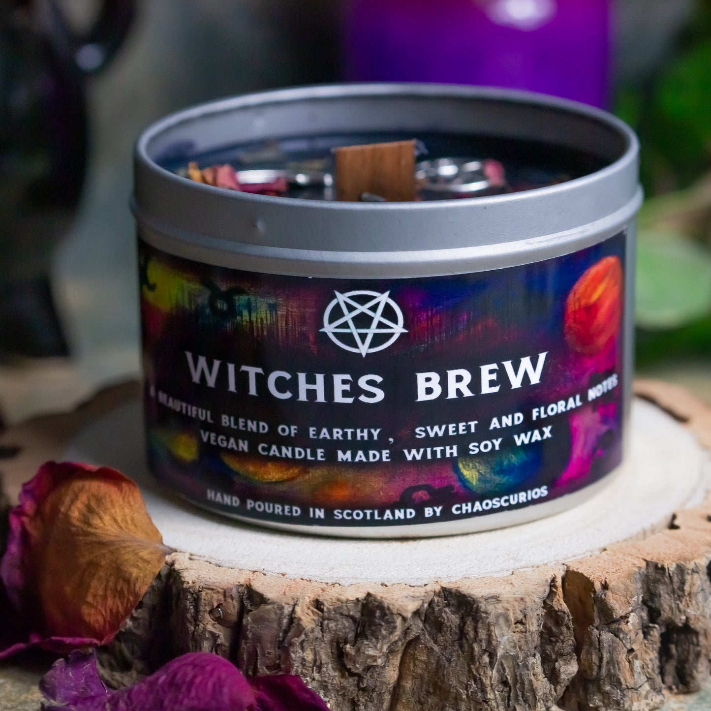 Witches Brew, Vegan Soy Candle, Witchy Aesthetic, Witchy Vibes, Moon Candle, Pentacle Candle, Pentagram Candle, Book of Spells, 35+ Hours